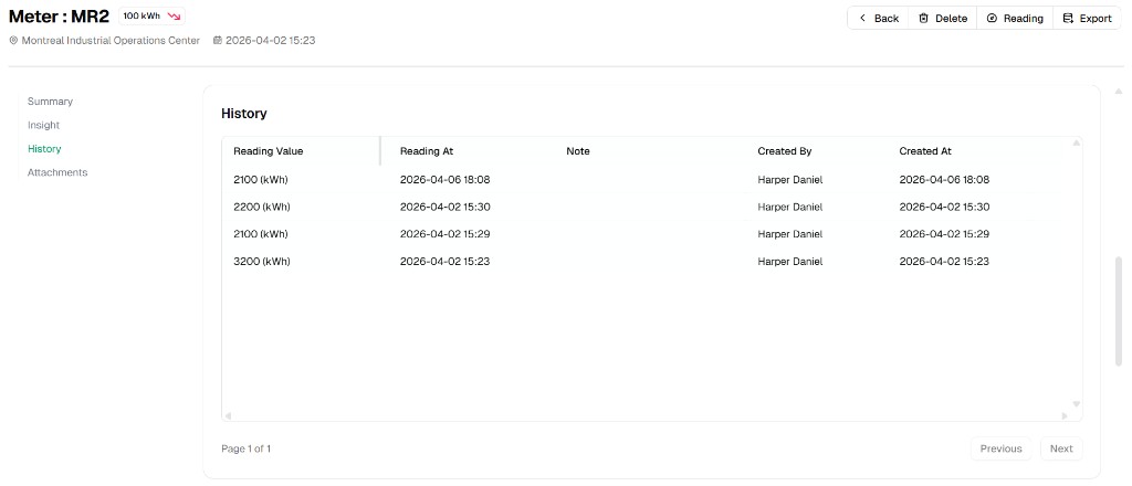 Meter History tab as read-only log with no edit controls on rows
